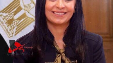 يا وزيرة التنمية المحلية اغثينا .. ملاك سيارات خط المرج الاسكندرية يستغيثون 